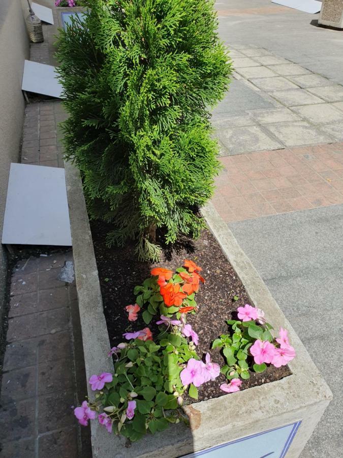 Apartment Resavska Beograd Bagian luar foto